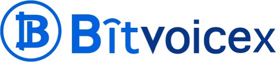 Bitvoiceex
